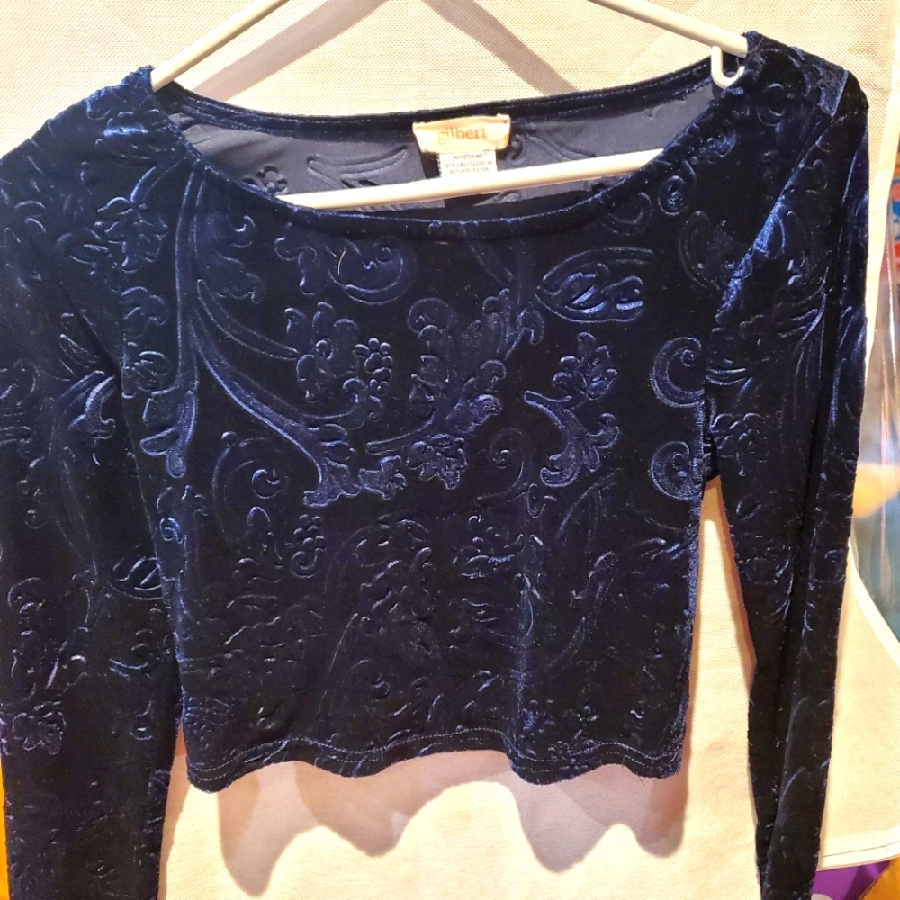 Gilbert cropped Paisley velour top